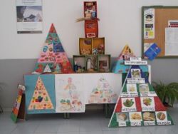 piramide alimenticia recortada