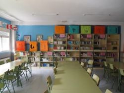 libros cartones