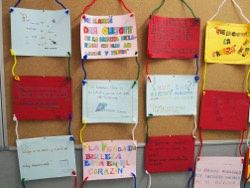 carteles frases