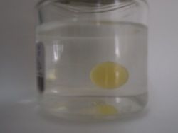 P1012427