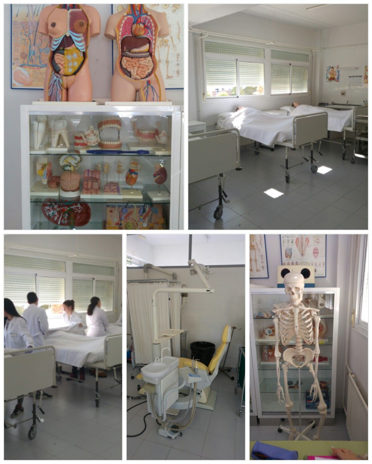 COLLAGE SAN