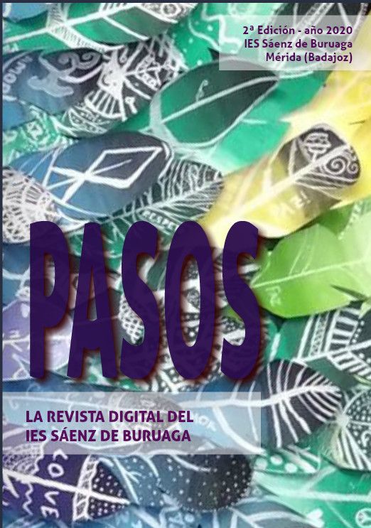 pasos2