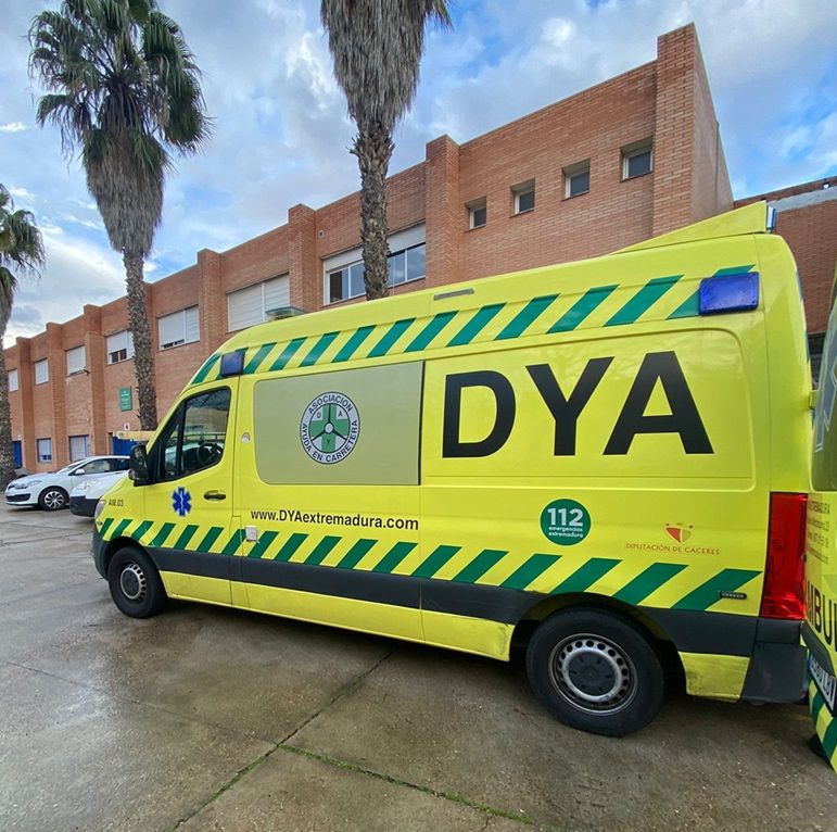 DyA1