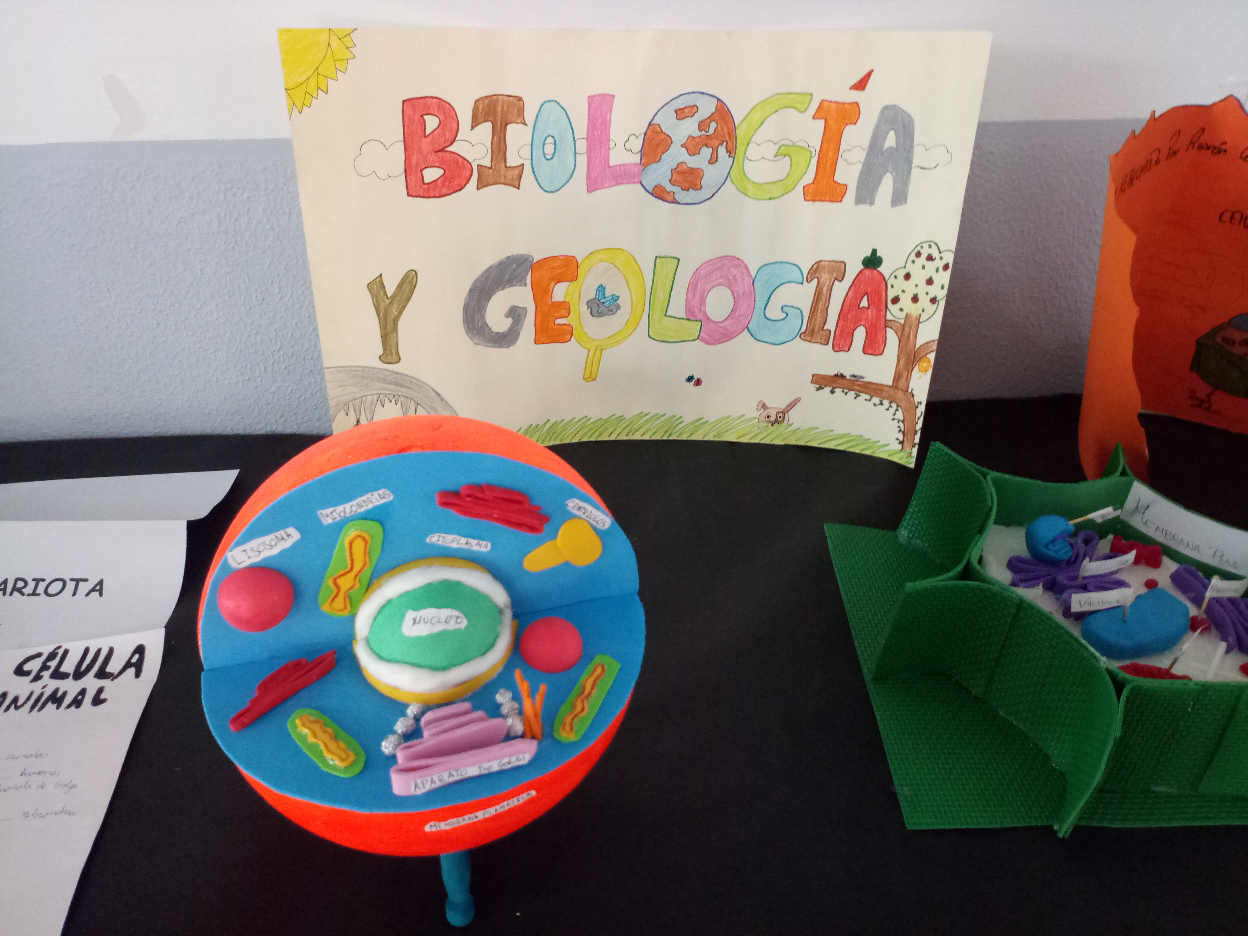 IMG 20180518 131839